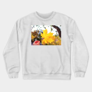 Hand holding golden yellow maple leaf Crewneck Sweatshirt